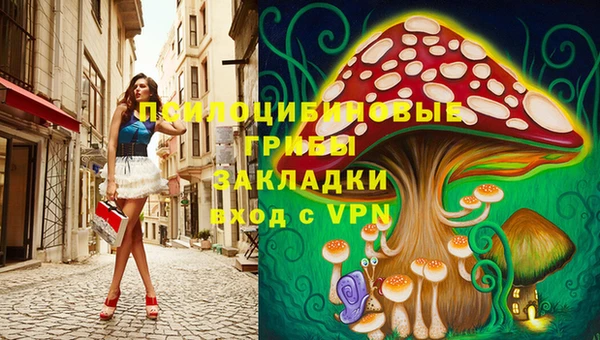 спиды Алексин